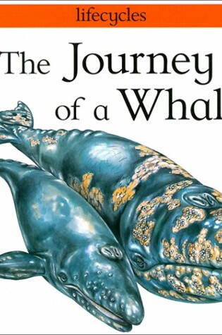 Cover of Journey of a Whale