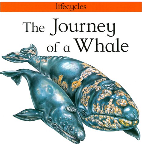 Cover of Journey of a Whale