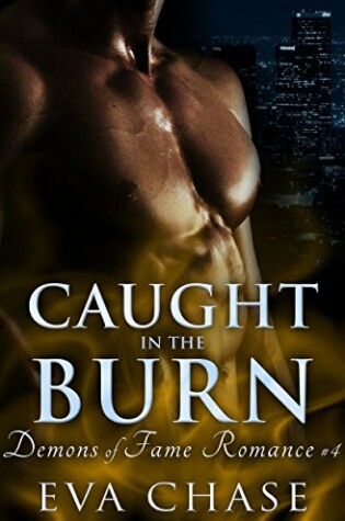 Cover of Caught in the Burn