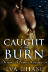 Book cover for Caught in the Burn