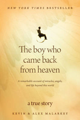 Book cover for The Boy Who Came Back from Heaven