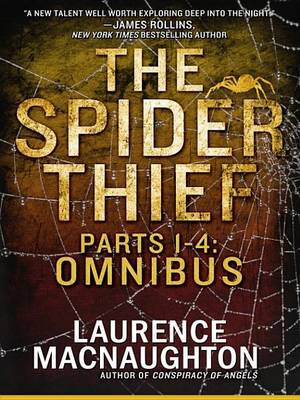 Book cover for The Spider Thief