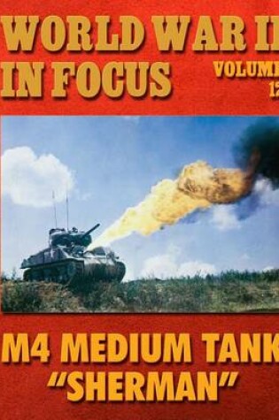 Cover of World War II in Focus Volume 12