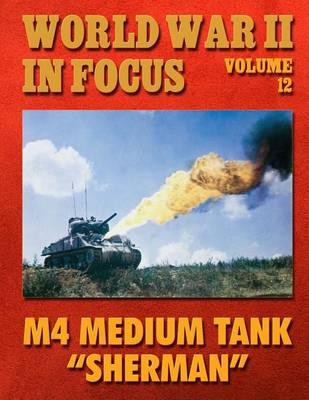 Book cover for World War II in Focus Volume 12