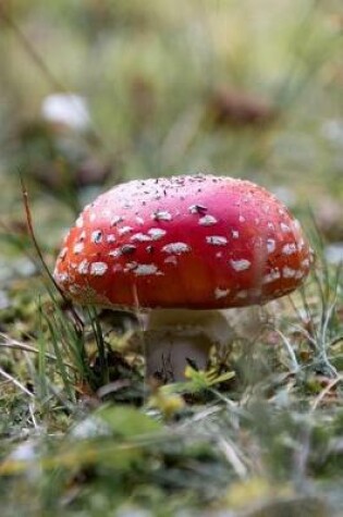 Cover of Red and White Fly Agaric Mushroom Journal