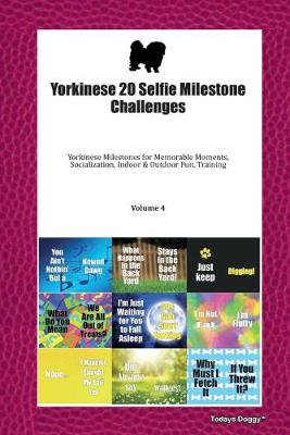 Book cover for Yorkinese 20 Selfie Milestone Challenges