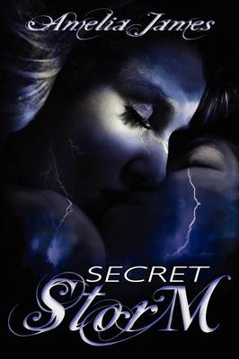 Book cover for Secret Storm