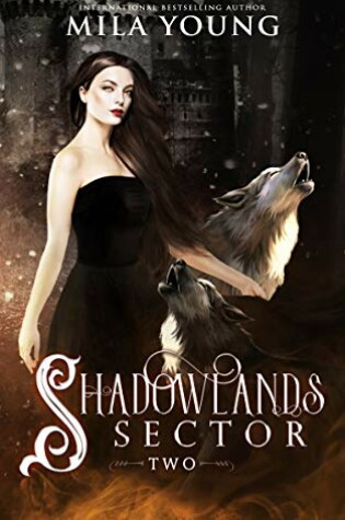 Cover of Shadowlands Sector, Two