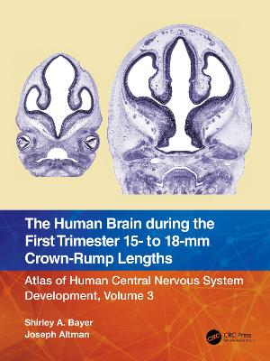 Cover of The Human Brain during the First Trimester 15- to 18-mm Crown-Rump Lengths