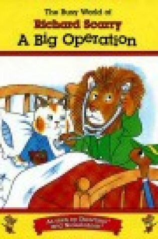 Cover of A Big Operation