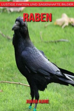 Cover of Raben