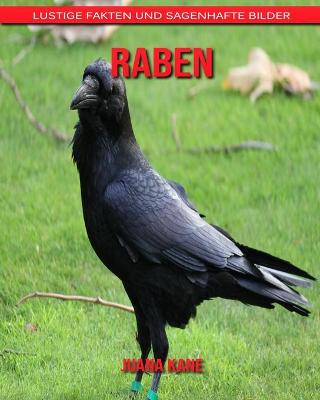 Book cover for Raben