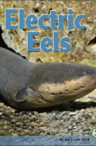 Cover of Electric Eels