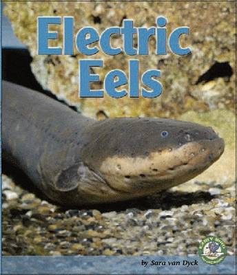 Cover of Electric Eels