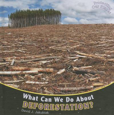 Cover of What Can We Do about Deforestation?