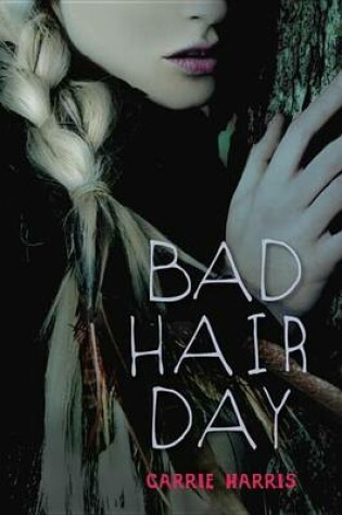 Cover of Bad Hair Day