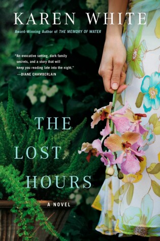 Book cover for The Lost Hours