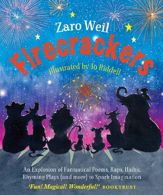 Book cover for Firecrackers