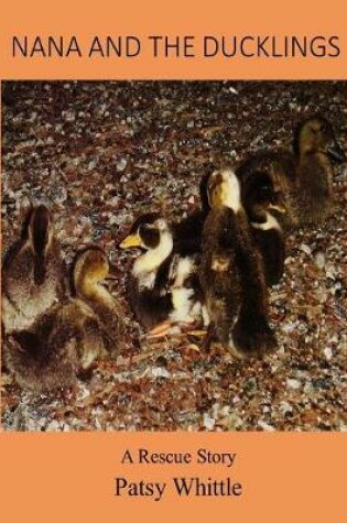 Cover of Nana and The Ducklings