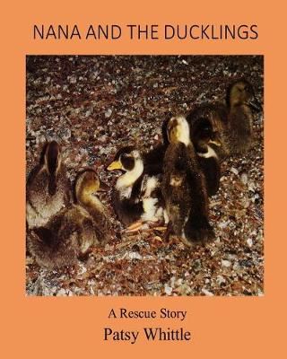 Book cover for Nana and The Ducklings