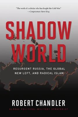 Book cover for Shadow World