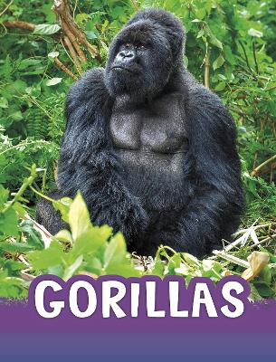 Book cover for Gorillas