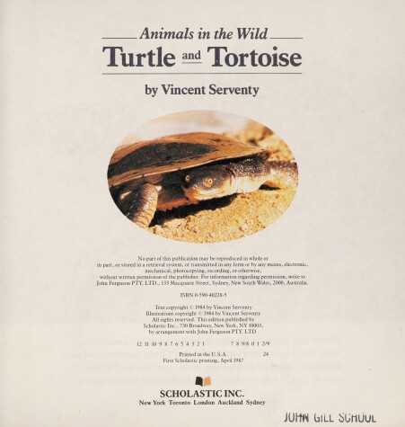 Book cover for Turtle and Tortoise