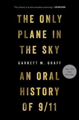 Book cover for The Only Plane in the Sky