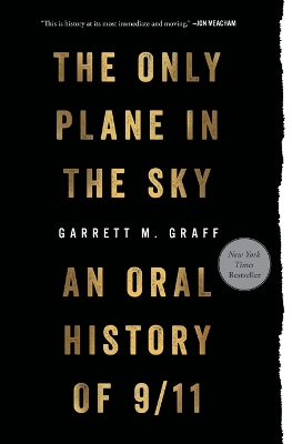 Book cover for Only Plane in the Sky