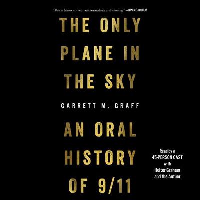 Book cover for The Only Plane in the Sky