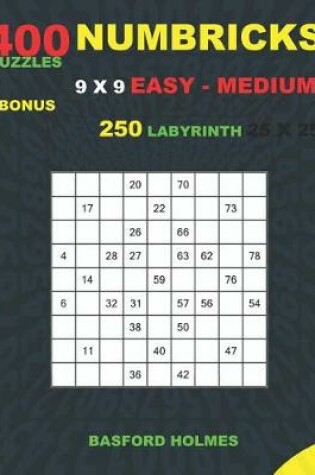 Cover of NUMBRICKS 400 puzzles 9 x 9 EASY - MEDIUM + BONUS 250 LABYRINTH 25 x 25