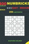 Book cover for NUMBRICKS 400 puzzles 9 x 9 EASY - MEDIUM + BONUS 250 LABYRINTH 25 x 25