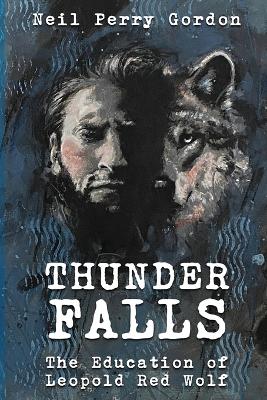 Book cover for Thunder Falls