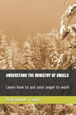 Cover of Understand the Ministry of Angels