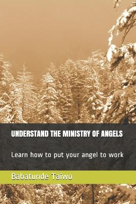 Book cover for Understand the Ministry of Angels