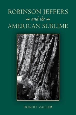 Cover of Robinson Jeffers and the American Sublime