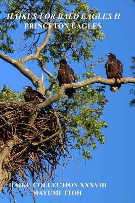 Book cover for Haikus for Bald Eagles II