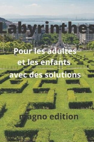 Cover of Labyrinthes Pour les adultes et les enfants avec des solutions