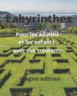 Book cover for Labyrinthes Pour les adultes et les enfants avec des solutions