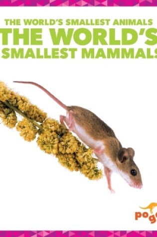 Cover of The World's Smallest Mammals