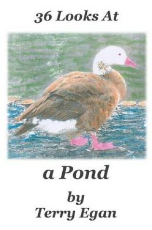 Cover of 36 Looks At a Pond