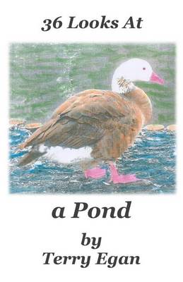 Book cover for 36 Looks At a Pond