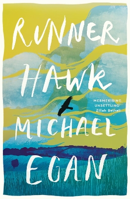 Book cover for Runner Hawk