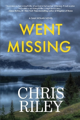 Book cover for Went Missing