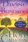 Book cover for Divine Blindside