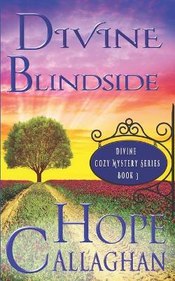 Book cover for Divine Blindside