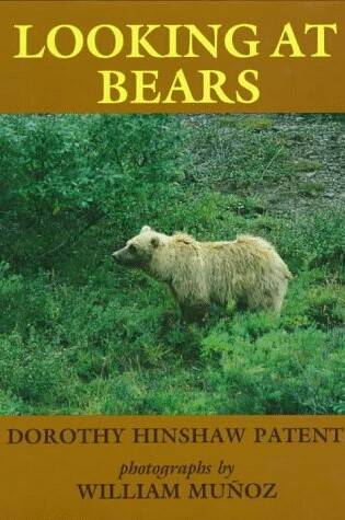 Cover of Looking at Bears