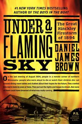 Book cover for Under a Flaming Sky