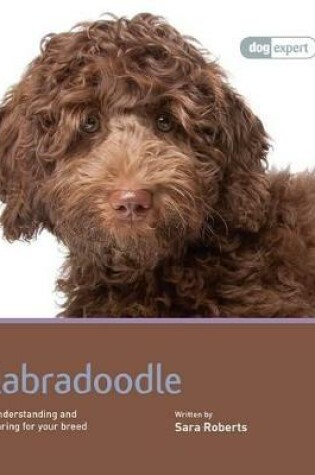 Cover of Labradoodle - Dog Expert
