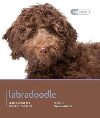 Book cover for Labradoodle - Dog Expert